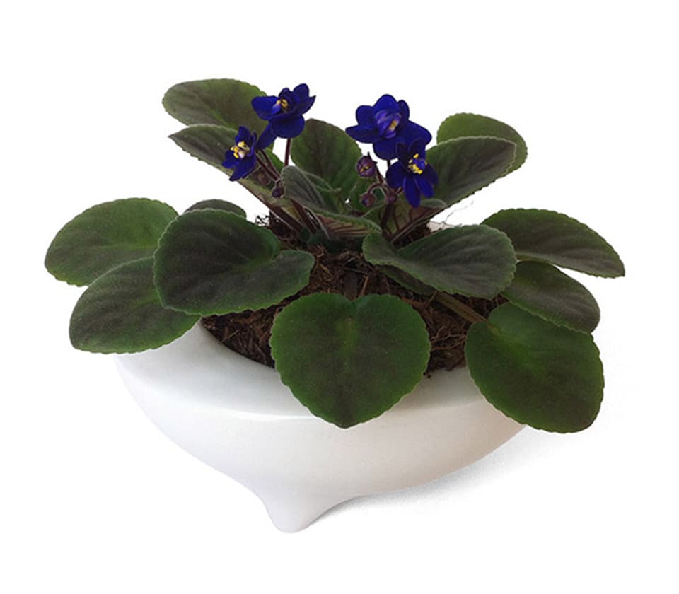 ҽ����е��ƣ�����װ�����