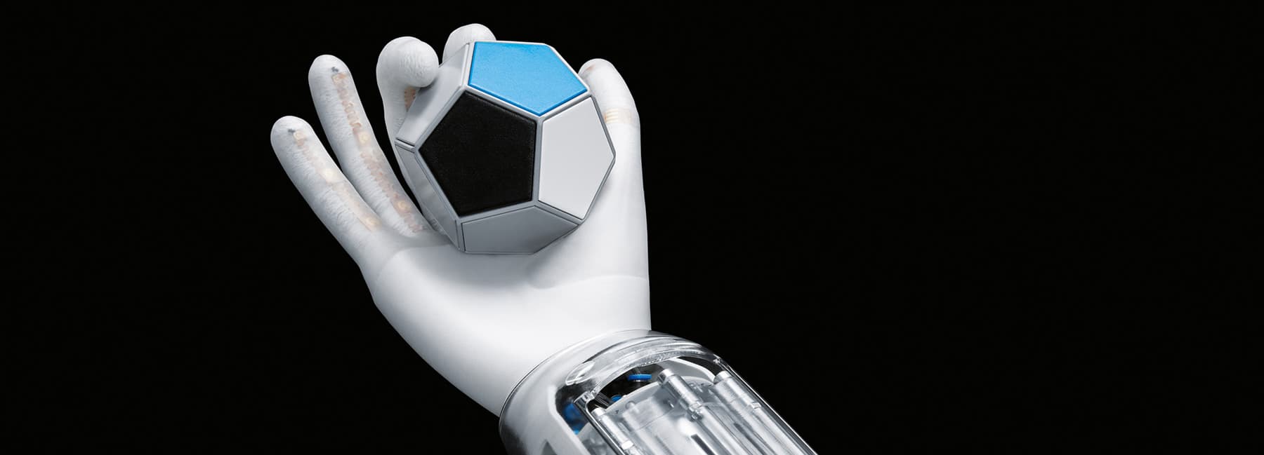 �Զ������������