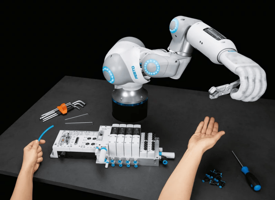 �Զ������������